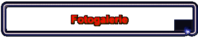 Fotogalerie